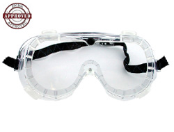Budget Safety Goggle